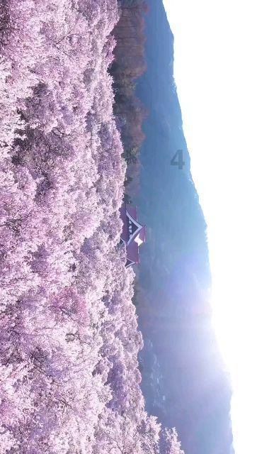 独眼方块的冒险